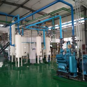 Peony seed oil processing machine