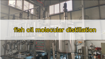 fish oil molecular distillation equipment
