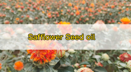 Safflower Oil Turnkey Project