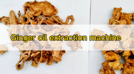 ginger oil extraction machine