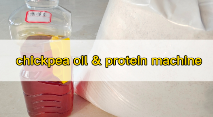 chickpea oil & protein machine
