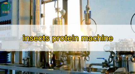 insect protein and oil processing machine