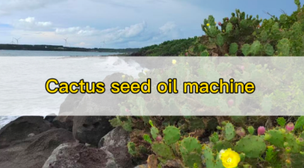 cactus seed oil subcritical extraction machine