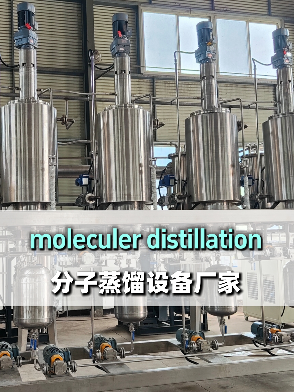 short path molecular distillation machine